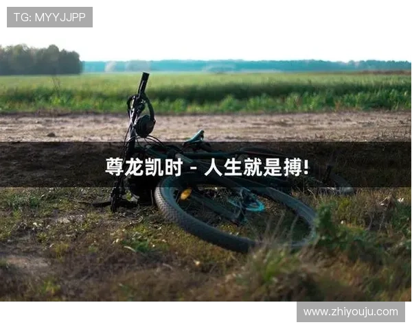 中国尊龙凯时高端玩家专属攻略深度解析高级技巧提升竞技水平实现突破