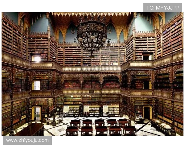 D88尊龙手机版最新玩法介绍与操作指南，助你轻松畅玩尊龙游戏体验